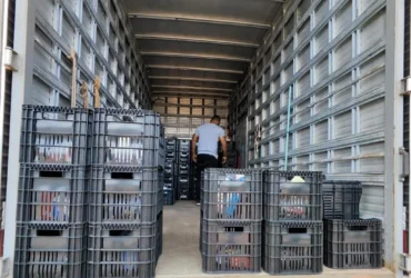 Sejus monitora entregas do Cecomac em presídios de MT