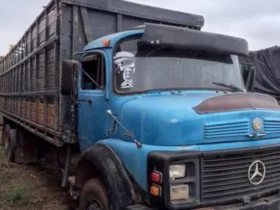 Sejus faz leilão de bens apreendidos em ações antidrogas