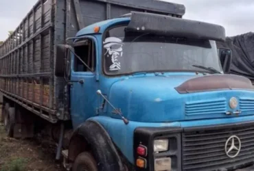 Sejus faz leilão de bens apreendidos em ações antidrogas