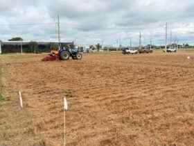 Show Safra MT 2026 começa a ser construído no campo muito antes da feira abrir os portões