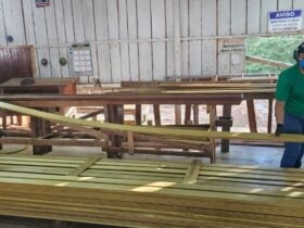 Sindusmad consolida atuação institucional e fortalece o setor florestal