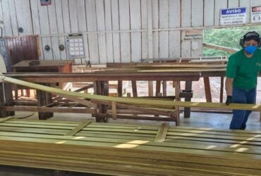 Sindusmad consolida atuação institucional e fortalece o setor florestal