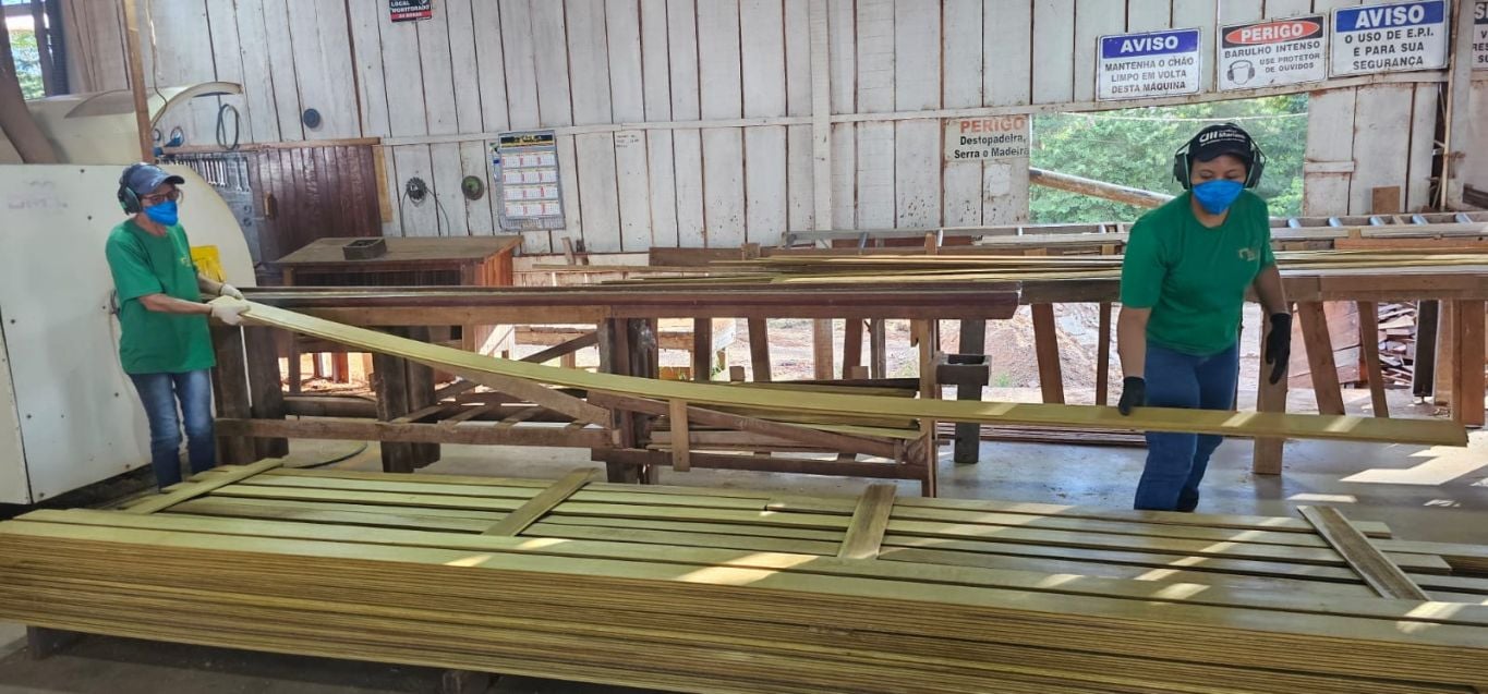 Sindusmad consolida atuação institucional e fortalece o setor florestal