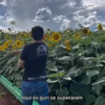 APAE de Lucas do Rio Verde repudia vídeo com teor discriminatório e cobra retratação pública