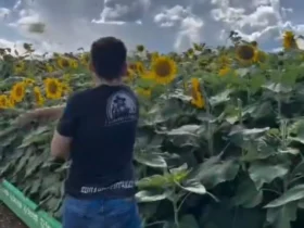 APAE de Lucas do Rio Verde repudia vídeo com teor discriminatório e cobra retratação pública