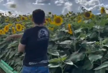 APAE de Lucas do Rio Verde repudia vídeo com teor discriminatório e cobra retratação pública