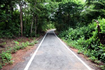 Várzea Grande avança em mais uma etapa para tornar a área do Bernardo Berneck em Parque Natural Municipal