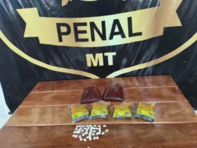 Visitantes são detidas com materiais ilícitos em presídios de MT