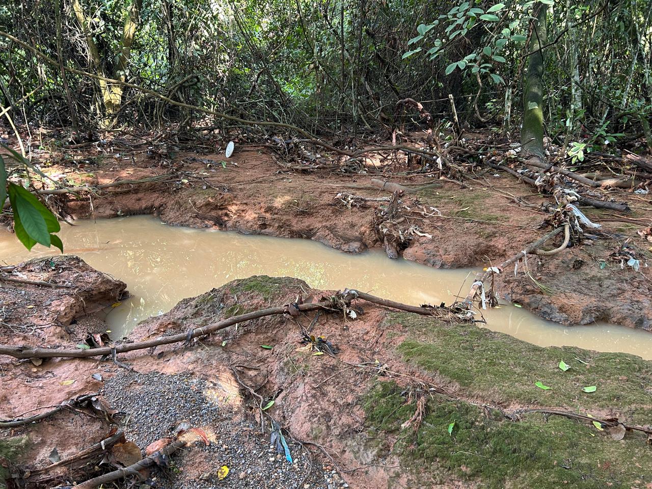 Projeto Águas do Lira já plantou mais de 17 mil mudas para recuperar nascentes em Sorriso