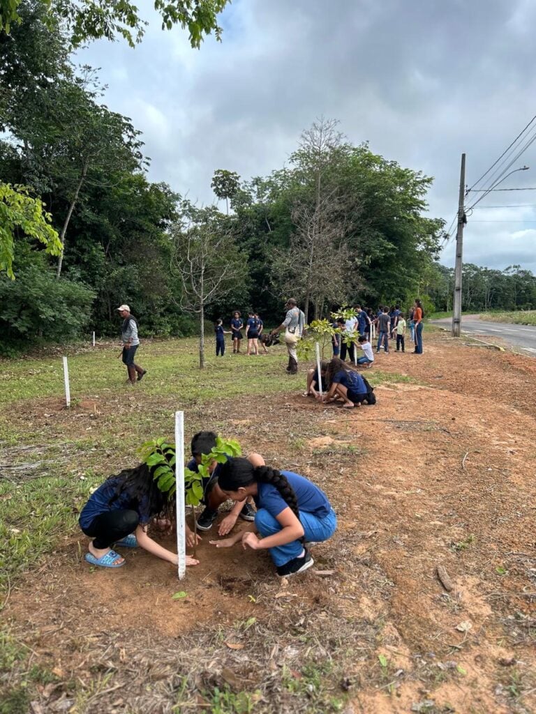 Projeto Águas do Lira já plantou mais de 17 mil mudas para recuperar nascentes em Sorriso