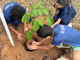Projeto Águas do Lira já plantou mais de 17 mil mudas para recuperar nascentes em Sorriso
