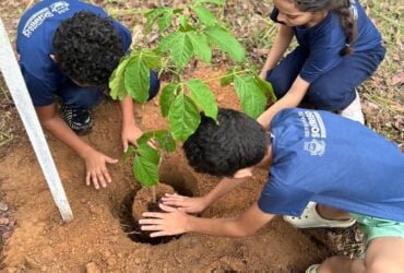 Projeto Águas do Lira já plantou mais de 17 mil mudas para recuperar nascentes em Sorriso