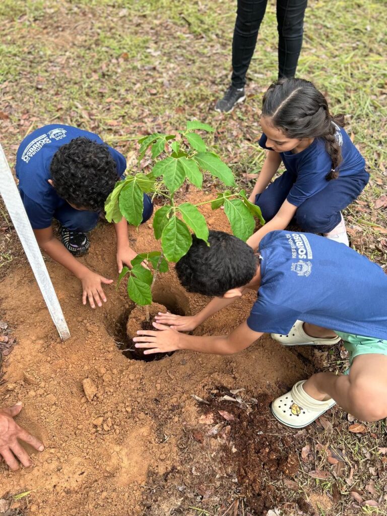 Projeto Águas do Lira já plantou mais de 17 mil mudas para recuperar nascentes em Sorriso