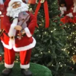 Natal marca semana de efemérides com cultura, ecologia e memória histórica