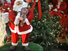 Natal marca semana de efemérides com cultura, ecologia e memória histórica