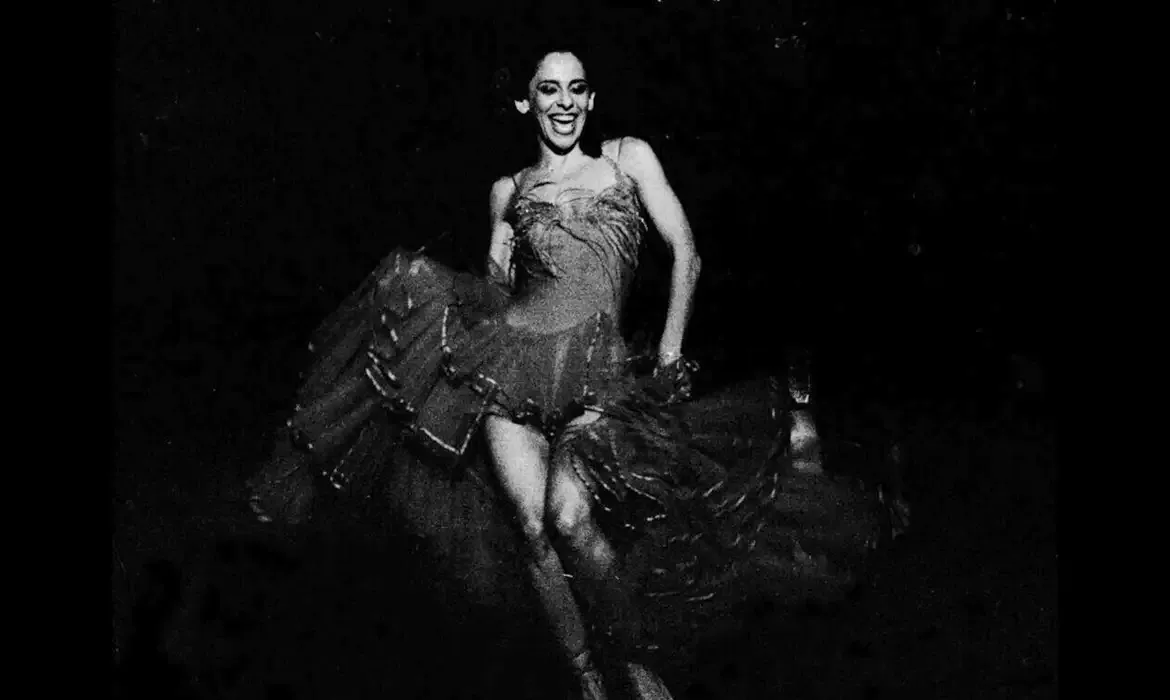 Cultura nordestina ganha destaque em nova exposição em Fortaleza