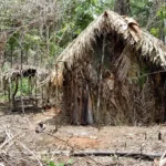 Indígenas isolados não são sujeitos a consulta prévia, indica DPU