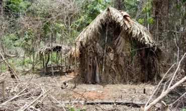 Indígenas isolados não são sujeitos a consulta prévia, indica DPU