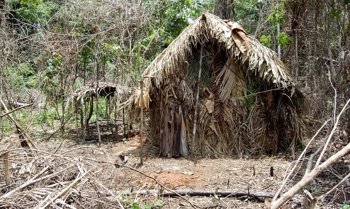Indígenas isolados não são sujeitos a consulta prévia, indica DPU