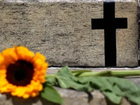 Feminicídio atinge recorde anual na capital paulista em 2025