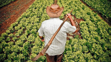 Concurso de Inventos valoriza soluções para a agricultura familiar