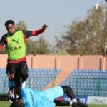 Angola x Zimbábue ao vivo: onde assistir e escalações análise da Copa Africana de Nações