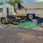 Fiscalização na rodovia levou à localização de cocaína, skunk e haxixe escondidos em veículo pesado, que foi levado a ponto seguro para procedimentos.