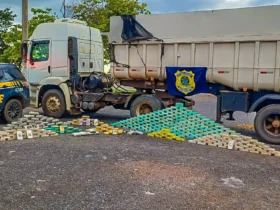 PRF apreende carga de drogas em caminhão na BR-070, em Várzea Grande
