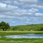 Embrapa Pecuária Sul orienta produtores sobre manejo do campo nativo após o retorno das chuvas