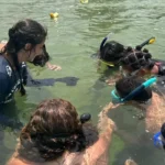 Projeto forma jovens guardiões de cavalo-marinho no Rio