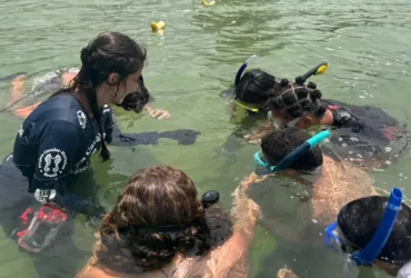 Projeto forma jovens guardiões de cavalo-marinho no Rio