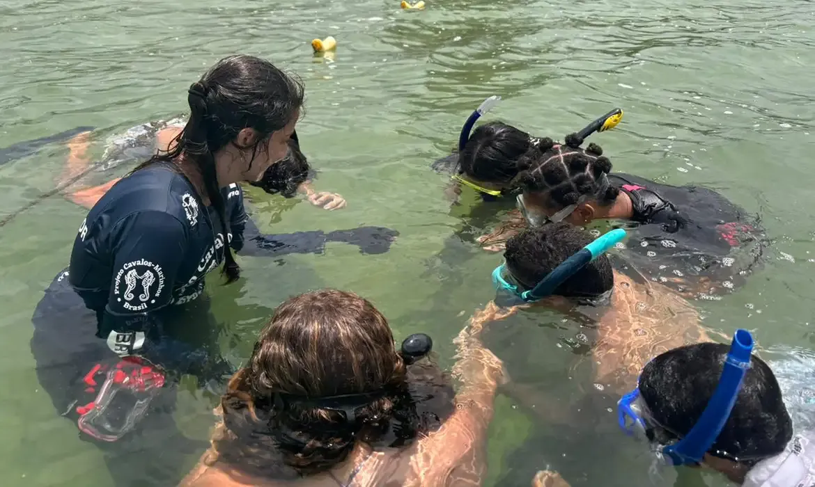 Projeto forma jovens guardiões de cavalo-marinho no Rio