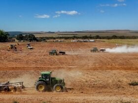 Brasil avança na recuperação e no mapeamento de solos