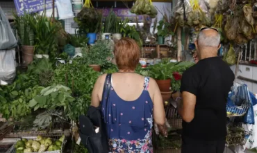Tradição e fé impulsionam busca por ervas no fim de ano