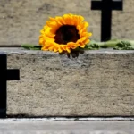 Feminicídio em alta expõe avanço da violência contra mulheres