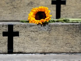 Feminicídio em alta expõe avanço da violência contra mulheres