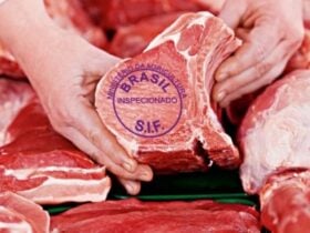 Brasil é autorizado a exportar carne bovina para a Guatemala e amplia presença do agro em mercados estratégicos