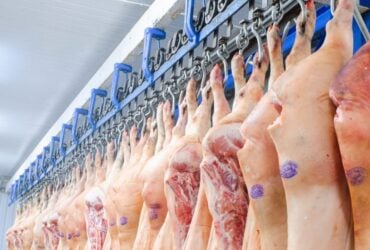 Exportações de carne suína registram maior queda mensal desde 2015, mas acumulado do ano supera 2024
