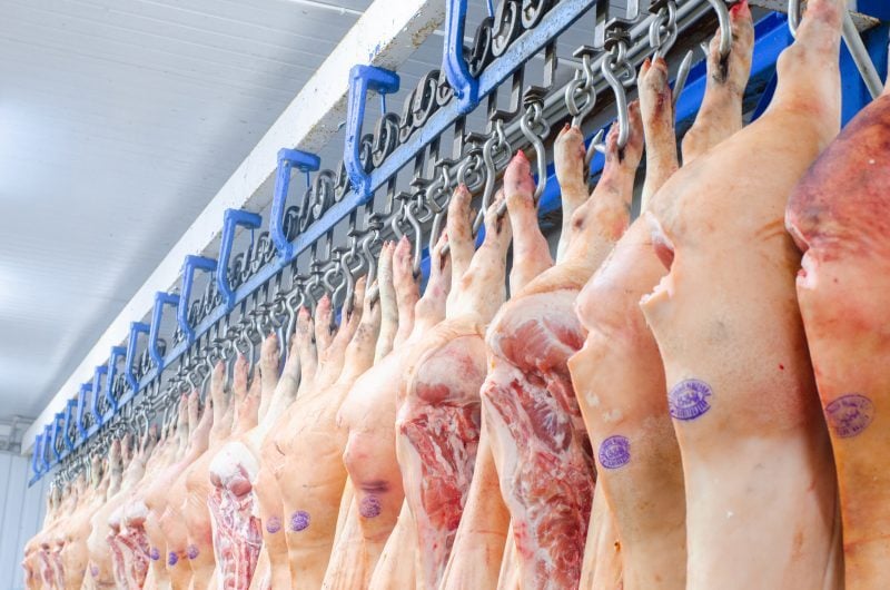 Exportações de carne suína registram maior queda mensal desde 2015, mas acumulado do ano supera 2024