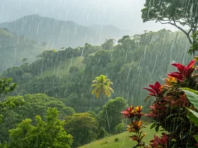 Forte chuva está prevista para Novo São Joaquim