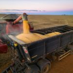 Agro ajuda indicadores econômicos em 2025, mas cenários de incertezas desafiam produtores em 2026
