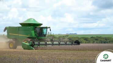 Colheita de soja em Mato Grosso na safra 2025/26, com lavouras apresentando bom desenvolvimento mesmo sob calor intenso