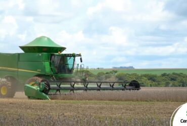 Colheita de soja em Mato Grosso na safra 2025/26, com lavouras apresentando bom desenvolvimento mesmo sob calor intenso