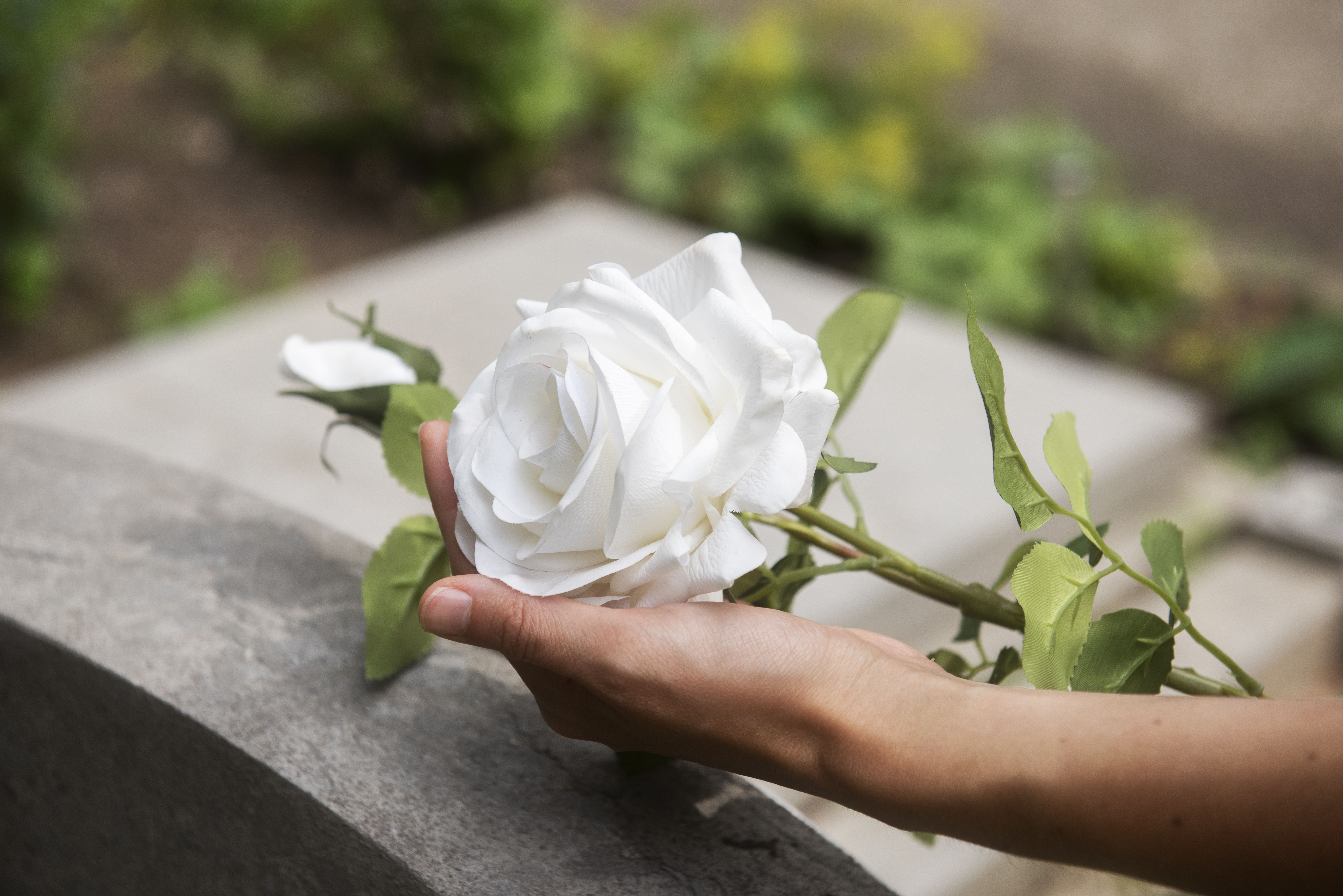 O mês de maio foi o mês com mais mortes no ano