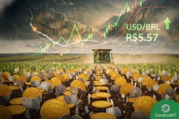 Dólar sobe para R$ 5,57, e Bolsa volta a cair nesta segunda-feira (29)