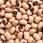 Brasil amplia acesso internacional e conquista novos mercados para macadâmia e feijões