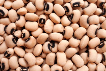 Brasil amplia acesso internacional e conquista novos mercados para macadâmia e feijões