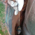 Filhote de cachorro é salvo após cair em cisterna em residência de Confresa