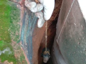 Filhote de cachorro é salvo após cair em cisterna em residência de Confresa