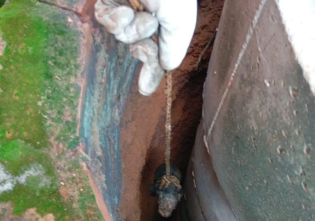 Filhote de cachorro é salvo após cair em cisterna em residência de Confresa